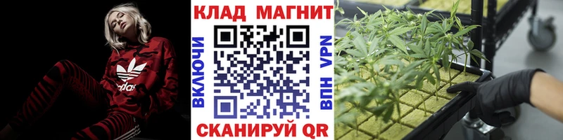 Где купить наркотики Семилуки А ПВП Конопля Кокаин